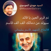 القائد الشهيد سليماني 